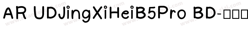 AR UDJingXiHeiB5Pro BD字体转换